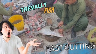 Big Trevally Fish cutting fishing india fish youtube trending [upl. by Yoo648]