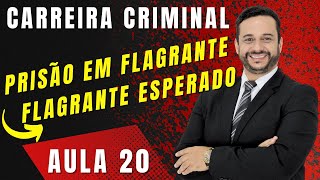 Aprenda a mais famosa das prisões O Flagrante esperado  Aula 20 [upl. by Oinolopa]