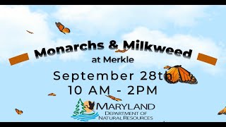 Monarch and Milkweed Festival at Merkle NRMA [upl. by Ghiselin855]