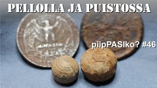 piipPASIko 46  Metallinetsintää pellolla ja puistossa [upl. by Deborath]