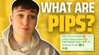 Forex Pips Explained A Beginners Guide [upl. by Assenna]