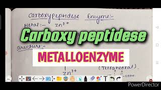 carboxy peptidese enzyme  metalloenzyme notes structure amp function  bioinorganic chemistry [upl. by Ahcsap543]