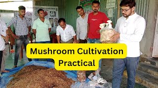 Mushroom Cultivation Hands On Practical Training मशरूम की खेती का प्रशिक्षण Oyster amp Milky Mushroom [upl. by Asenab698]