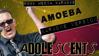 Adolescents  Amoeba Karaoke Version Instrumental  PMK [upl. by Annaya909]