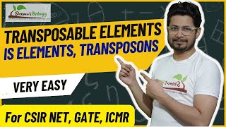 Transposable elements in prokaryotes and eukaryotes  Transposons and jumping genes  IS elements [upl. by Llenehs339]