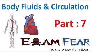 Biology Body Fluids amp Circulation part 7 Compatibility of Antigen AB O group CBSE class 11 XI [upl. by Aneehsyt]