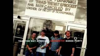 Toad The Wet Sprocket Somethings Always Wrong acoustic [upl. by Adnovad]