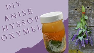 DIY Anise Hyssop Oxymel  How to Make an Oxymel  DIY Hyssop Oxymel  Beginner Herbalism [upl. by Faun88]