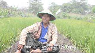 Film Dokumenter  Ironi Petani di Negeri Agraris [upl. by Nnyleuqaj179]