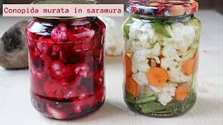 Conopida murata in saramura 1 singura reteta 2 variante alb si roz  🥣 Lecturi si Arome [upl. by Guinna]