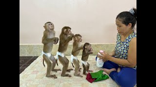 4 Siblings Standing Up Very Mannerly Waiting Mom To Dressing Up For Them [upl. by Sivaj]