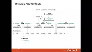 Interpreting Opiate Drug Test Results [upl. by Tilden107]