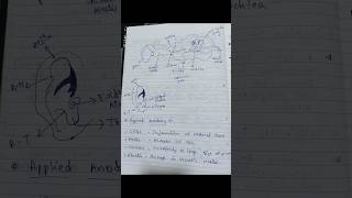 Ear Anatomy and physiology physiology of hearing ear diagram1st yearGNM ear anatomy bioscience [upl. by Eytak]