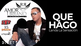 Landa La Sensación  Qué Hago  Salsa con Letra Urbana [upl. by Gregg17]