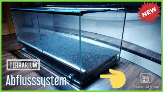 Einbau Abflusssystem Dendrobaten Terrarium [upl. by Darin745]