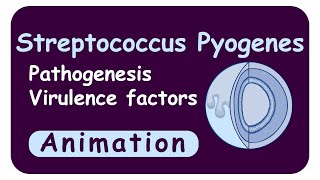 streptococcus pyogenes  Virulence factors  M protein  Streptolysin  Streptokinase  Toxins [upl. by Anavi773]