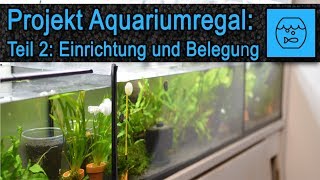 Aquarium Anlage selber bauen Teil 2  Zucht Anlage für Garnelen und Fische  Aquarium einrichten [upl. by Oinesra]