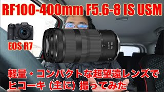 キヤノンRF100400mm F568 IS USM 軽い・コンパクトな超望遠レンズで撮ってみた主にヒコーキ [upl. by Nnyletak]