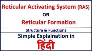 Reticular Activating System RASReticular Formation Structure amp Function in Hindi Bhushan Science [upl. by Derick597]