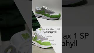 2024 Nike Air Max 1 SP Patta Chlorophyll kixxstar [upl. by Aliekahs]