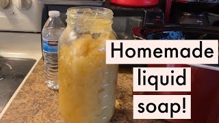 Make Your Own Liquid Castile Soap at Home [upl. by Kaufmann]