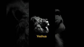 Yeshua Hamashiach Lion of Judah Agunechemba [upl. by Akived]