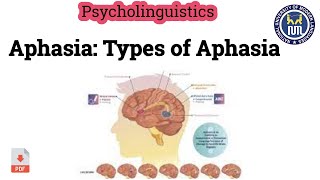 Aphasia  Types of Aphasia [upl. by Ahsieker]