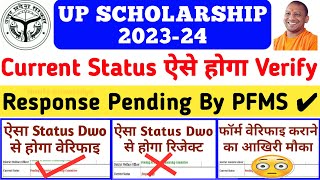 UP Scholarship 202324 Current Status Problem  UP Scholarship Response Pending By PFMS 2024 [upl. by Rist528]