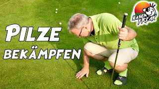 3 Tipps bei PILZKRANKHEITEN auf der Rasenflächen Ausserdem Erste Infos zu meinem neuen Golf GRÜN [upl. by Talie]