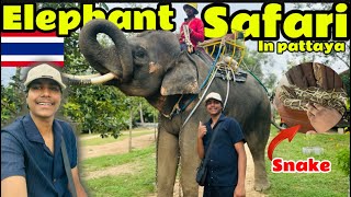 Elephant 🐘 safari in pattaya 🇹🇭 ซาฟารีช้างที่พัทยา  first time snake ko touch kiya 😨🐍 epsoide9 [upl. by Enilrad]