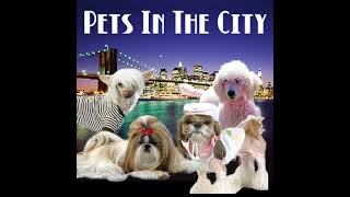 PetLifeRadiocom  Pets In The City  Episode 37 Tinsley Mortimer Shares Fashion and Compassion w [upl. by Hogan298]