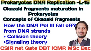 Prokaryotic DNA ReplicationL15 Okazaki fragments maturation concept of Okazaki fragments csir [upl. by Razaile]