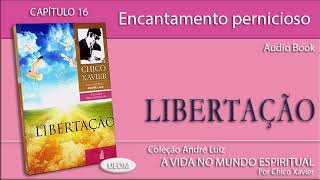 LIBERTAÇÃO  Capítulo 16  Encantamento pernicioso  Livro obra de André Luiz por Chico Xavier [upl. by Anawat]