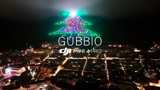 Gubbio The Largest Christmas Tree in the World  DJI Mini 4 Pro [upl. by Enos461]