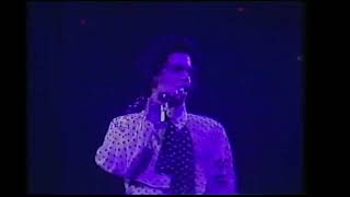 Prince  Adore Live at Dortmund Germany 88 [upl. by Hackett]