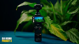 ✅La MEJOR CAMARA para CREAR CONTENIDOS y FILMMAKERS  DJI OSMO POCKET 3 [upl. by Arela]