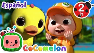 ¡CoComelon  DIEZ PATITOS  Canciones Infantiles en Español Latino [upl. by Nnylarej]