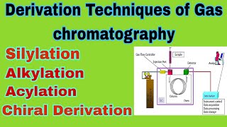 Derivatization techniques of gas chromatography ll B pharm 7th sem ll part2 ll In hindi [upl. by Angelika]