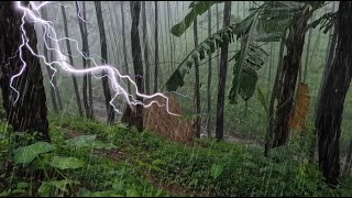 Forest Sounds for Sleeping Heavy Rain at Night to Sleep Well amp Beat Insomnia  Rainlaxation [upl. by Yrreiht]