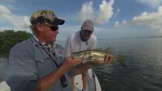 Key Largo Offshore Snapper Grouper Fishing and Inshore Snook Fishing [upl. by Aiksas]