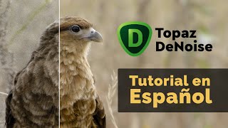 Review y Tutorial completo de Topaz DeNoise 3 en Español [upl. by Ateiluj]