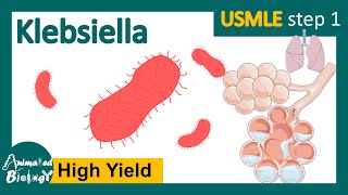 Klebsiella  klebsiella pneumoniae  clinical presentation risk factors and treatment of Klebsiella [upl. by Willetta]