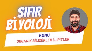 Lipitler  Yağlar Sıfır Biyoloji  Dr Biyoloji [upl. by Anastas]