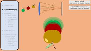 3D imaging and lensless imaging light field cameradisplay holography and phase retrieval [upl. by Jarlen59]