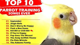 TOP 10 PARROT TRAINING SONGS EVER Whistle Training Teach Your Bird Cockatiel Singing Budgie [upl. by Ecnedac]