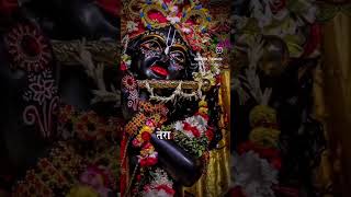 Tera deedar khafee haKishore dham neeraj bansal [upl. by Nelehyram]