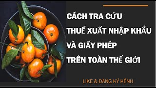 Hướng Dẫn Cách Tra Cứu Thuế Và Giấy Phép Của Hàng Hoá Xuất Nhập Khẩu Tất Cả Các Quốc Gia Mới Nhất [upl. by Nydroj315]