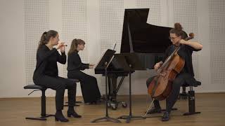 Nikolai Kapustin Trio für Flöte Cello und Klavier op 86 Allegro molto amp Andante [upl. by Mariele]