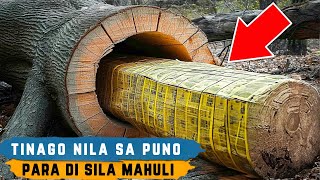 Mga Bultong bawal na gamot nilagay nila sa loob ng puno para makalusot sa ibang bansa [upl. by Annad]