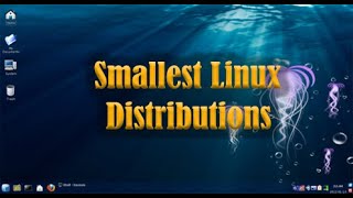 Smallest Linux Distributions [upl. by Ahsiuqal967]